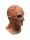 Nightmare on Elm Street 4  Deluxe Latex-Maske Freddy Krueger