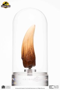 Jurassic Park Statue T-Rex Tooth 27 cm XXL Replik Zahn + Vitrine