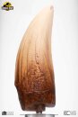 Jurassic Park Statue T-Rex Tooth 27 cm XXL Replik Zahn + Vitrine