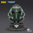 Warhammer 40,000: Dark Angels MkX Helmet & Display...