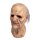 Texas Chainsaw Massacre 2 Maske