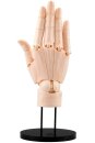 Takahiro Kagami PVC Artist Support Item Hand 1/1 Model/R...