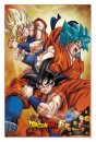 Dragon Ball Super 3D Poster Champa Goku 38 x 58 cm