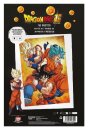 Dragon Ball Super 3D Poster Champa Goku 38 x 58 cm