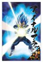 Dragon Ball Super 3D Poster Survival Vegeta 38 x 58 cm