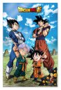 Dragon Ball Super 3D Poster Battle of Gods Goku Vegeta...