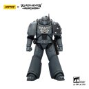 Warhammer The Horus Heresy Actionfigur Space Wolves MKVI...