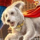 Superman (2025) DC Comics Kunstdruck Superman: A Symbol of Hope 41 x 61 cm - ungerahmt