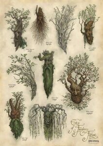 Herr der Ringe Kunstdruck Ents of Fangorn Forest 59 x 30 cm