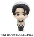 Attack on Titan Look Up PVC Statue Levi Cleaning up Ver....