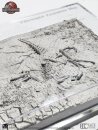 Jurassic Park III Ausgrabungskarte Velociraptor 27 cm