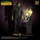 Frankenstein Plastic Model Kit 1/8 The Monster of Frankenstein 27 cm