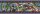 Dragon Ball Puzzle Panorama (1000 Teile)