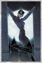 DC Comics Kunstdruck Catwoman: Nine Lives 61 x 41 cm -...