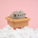 Pusheen Spardose