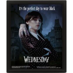 Wednesday 3D-Effekt Poster im Rahmen Perfect Day 26 x 20 cm 