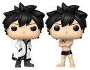 Fairy Tail 100 Year Quest POP! Animation Vinyl Figuren...