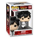 Fairy Tail 100 Year Quest POP! Animation Vinyl Figuren...