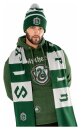 Harry Potter Schal Slytherin Long Length