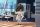 Love and Deepspace Nendoroid Actionfigur Zayne 10 cm