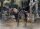 Elden Ring Figma Actionfigur Torrent, the Spectral Steed 18 cm