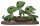Jurassic Park POP! Premium Vinyl Figur Compsognathus 9 cm
