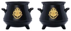 Harry Potter 3D Salz- und Pfefferstreuer Kessel