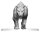 Pathfinder Battles Deep Cuts Miniatur unbemalt Hyaenodon 13 cm