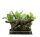 Jurassic Park Icons Statue T-Rex Breakout Set A 17 cm