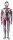 Shin Ultraman FigZero Actionfigur Ultraman (Phantaci Edition) 31 cm