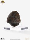 Jurassic Park 1/1 Replik Triceratops Toenail 16 cm