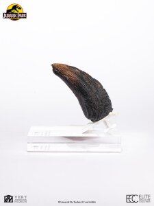 Jurassic Park 1/1 Replik Velociraptor Toenail Type A 11 cm