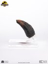 Jurassic Park 1/1 Replik Velociraptor Toenail Type A 11 cm