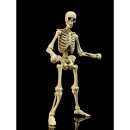 Epic H.A.C.K.S. Actionfigur 1/12 Skeleton Blank Classic Bone