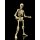 Epic H.A.C.K.S. Actionfigur 1/12 Skeleton Blank Classic Bone