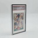 Slab-Schutzhüllen für PSA Graded Cards Silber