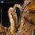 Godzilla: King of the Monsters 2019 Exquisite Basic Actionfigur King Ghidorah 2.0 25 cm