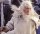 Der Herr der Ringe Figures of Fandom PVC Statue Gandalf der Weiße 23 cm