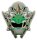 Power Rangers Ansteck-Pin Green Ranger Limited Edition