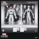 Future Foundation Marvel Legends Actionfiguren 2er-Pack Mister Fantastic & Spider-Man 15 cm