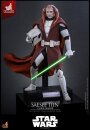Star Wars: The Clone Wars Television Masterpiece Actionfigur 1/6 Saesee Tiin (Clone Armor) (Hot Toys Exclusive) 32 cm