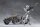 Megalomaria Unlimited Universe Plastic Model Kit Wreckage Hunter 25 cm