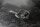 Universal Monsters Actionfigur Ultimate The Wolf Man (Black & White) 18 cm