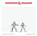 Dungeons & Dragons Nolzurs Marvelous Miniatures...