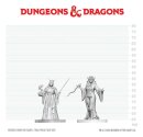 Dungeons & Dragons Nolzurs Marvelous Miniatures...