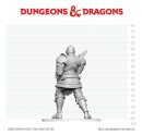 Dungeons & Dragons Nolzurs Marvelous Miniatures...