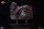 Jurassic Park III Replik Spinosaurus Eye Prop (Reproduction) 39 cm