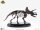 Jurassic Park Statue 1/24 Triceratops Fossil Skeleton Bronze 35 cm