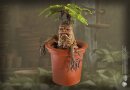 Harry Potter Magical Creatures Statue Mandrake 13 cm