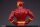 DC Comics Maquette 1/6 The Flash Collector Edition Limited 46 cm
